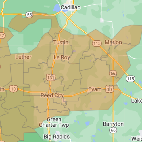 Reed City area map